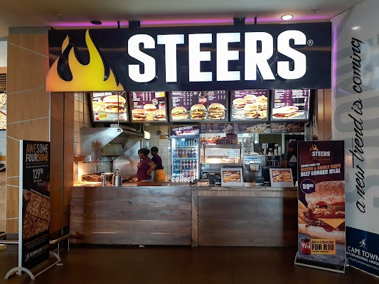 steers